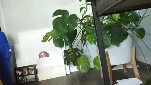 Luke online show from 03.15.26