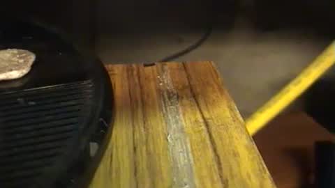 lukestarfckr online show from 09.29.25