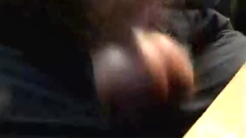 lukestarfckr online show from 10.17.25