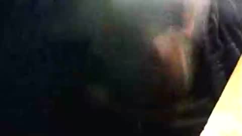 Snapshot of lukestarfckr chatting on 02.15.26 lukestarfckr online show from 02.15.26