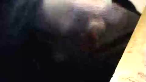 Snapshot of lukestarfckr chatting on 03.01.26 lukestarfckr online show from 03.01.26