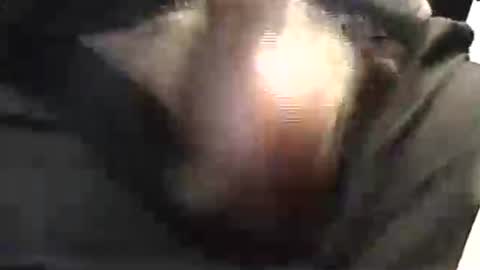 lukestarfckr online show from 05.29.26