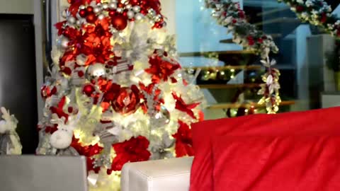 Lukhas f4f online show from 12.06.24