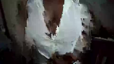 Nessy online show from 10.20.25