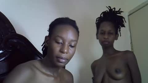 lutino_lovebirds online show from 03.08.26