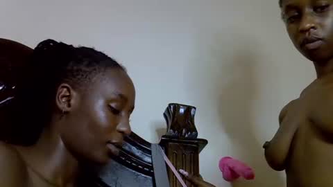 lutino_lovebirds online show from 04.13.26