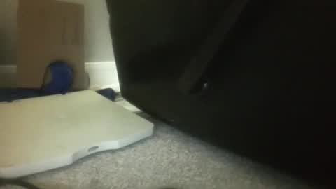 luv269er online show from 11.13.25