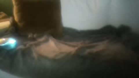 luvbigtits271 online show from 01.01.25