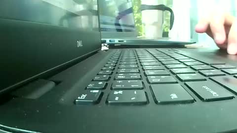 Bee Bee online show from 03.26.26