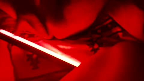 lyinonme online show from 10.24.25