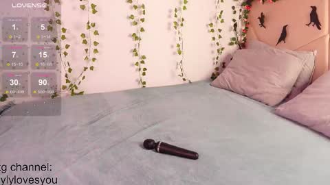 Snapshot of lyly_loveyou chatting on 10.28.25 Lyly online show from 10.28.25