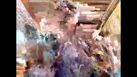 lyn_eva online show from 03.07.26