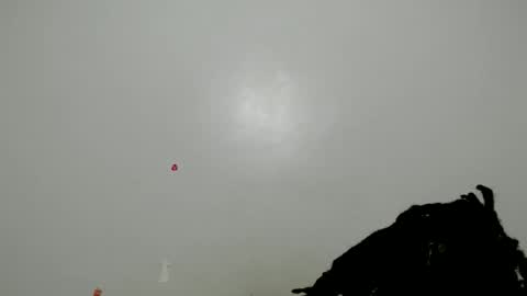 lyenne online show from 10.13.25