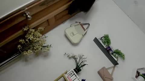 Janelovesu online show from 02.13.26