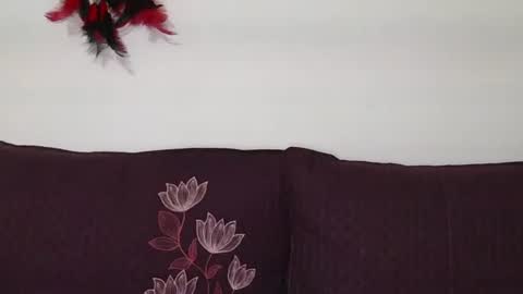 Snapshot of magic_door_open chatting on 10.30.25 magic door open online show from 10.30.25