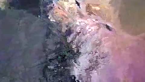 Snapshot of maho0 chatting on 12.13.24 maho0 online show from 12.13.24