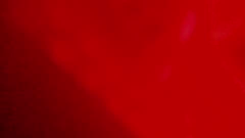 maia online show from 01.28.25