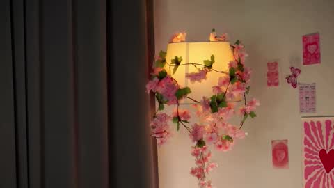 Snapshot of maibradish chatting on 01.31.26 Lisa online show from 01.31.26