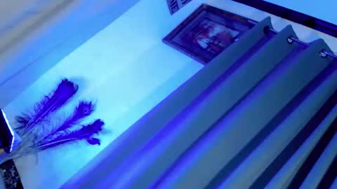 majesticcock_kyla online show from 11.27.25