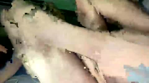 majorb986 online show from 11.13.25