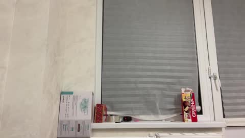 Snapshot of malcolm_yang chatting on 01.25.25 Tom and Mark 3 online show from 01.25.25