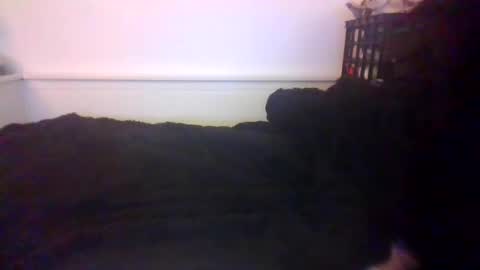 Snapshot of malebdsmslut chatting on 10.20.25 CommandbondageNipples bondage kink submissive lovense slave wgear. modequiethvyBondage If Password goldfish online show from 10.20.25