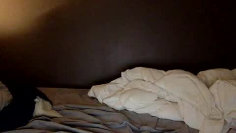 malefrench1 online show from 03.25.26