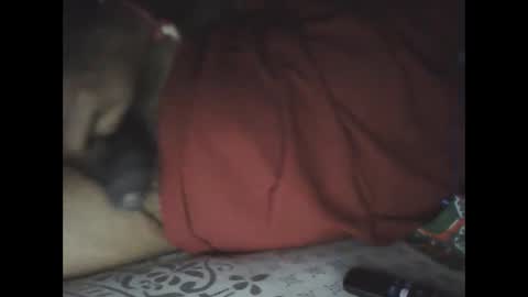 Sree0703 online show from 02.24.25