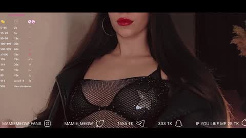 Snapshot of mamiemeow chatting on 01.25.25 Your Miss Alice online show from 01.25.25