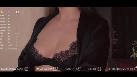 Snapshot of mamiemeow chatting on 02.10.25 Your Miss Alice online show from 02.10.25