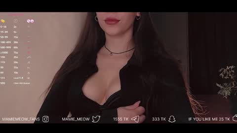 Snapshot of mamiemeow chatting on 02.13.25 Your Miss Alice online show from 02.13.25