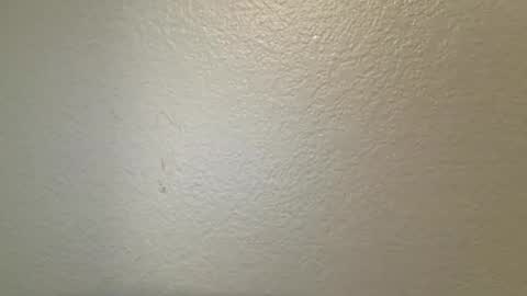 mamiilatina2500 online show from 03.24.26