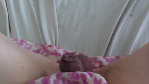 Snapshot of manclitpatsy chatting on 02.22.25 ..          .. online show from 02.22.25