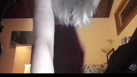 mangoseeed online show from 11.01.25