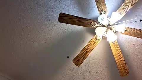 Jan and Man online show from 02.01.26