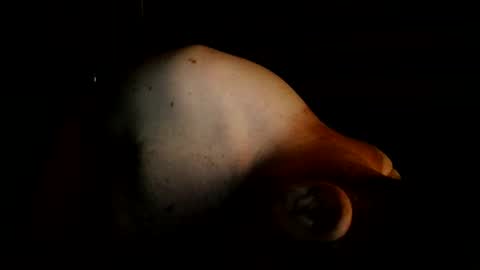guywittitsndick online show from 08.02.26