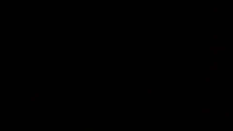 Snapshot of margolane chatting on 10.11.25 Elle online show from 10.11.25