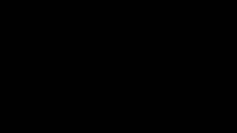 Snapshot of margolane chatting on 10.19.25 Elle online show from 10.19.25