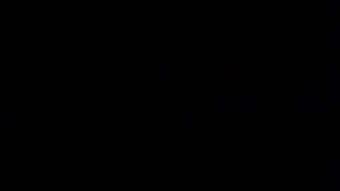 Snapshot of margolane chatting on 10.20.25 Elle online show from 10.20.25