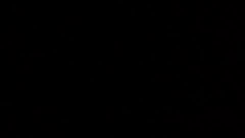 Snapshot of margolane chatting on 10.25.25 Elle online show from 10.25.25