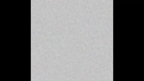 Margot online show from 12.30.24