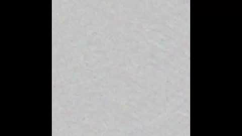 Margot online show from 02.24.25