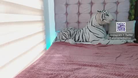 mariaribeiro online show from 01.07.26