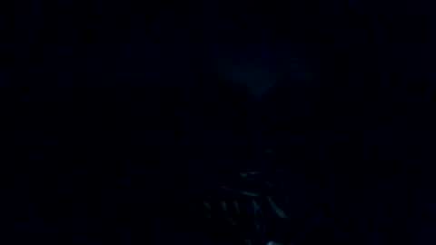 mark7062012 online show from 10.29.25