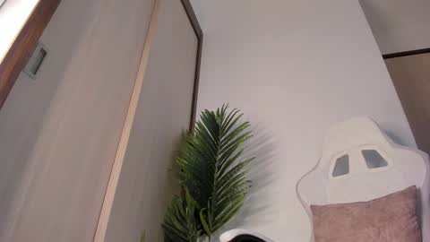 Snapshot of markus_blass chatting on 12.29.24 markus... Y online show from 12.29.24