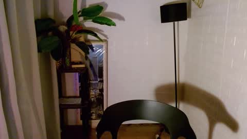 Wenwen online show from 12.30.24