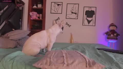 Mar online show from 01.03.25