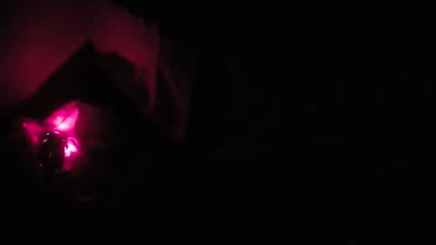 martamoontrans online show from 10.08.25