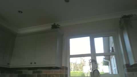 martinrgbxxxx online show from 02.23.26