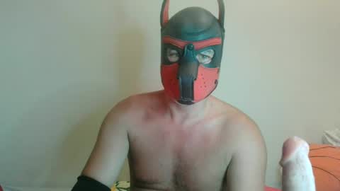 MaskPor2022 online show from 08.02.26